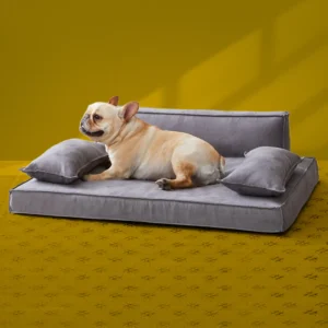 Orthopedic Dog Sofa in Teak Wood with Upholstery Luxury Designer Durable & Comfortable Pet Bed for Dogs