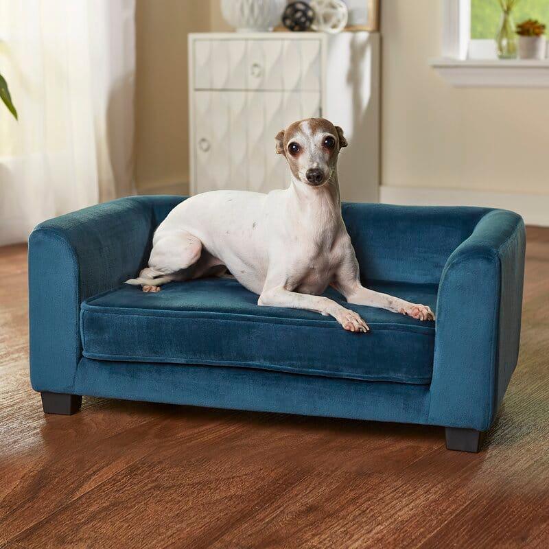 Lawlor Dog Sofa in Teak Wood wiUpholstery Luxury Designer Durable & Comfortable Dog Bed