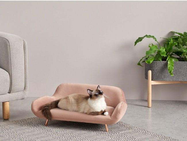 Atypical Handmade Classic Comfortable Pet Sofa Luxury Dog & Cat Bed, Stylish Pet Lounge for Small to Medium Pets